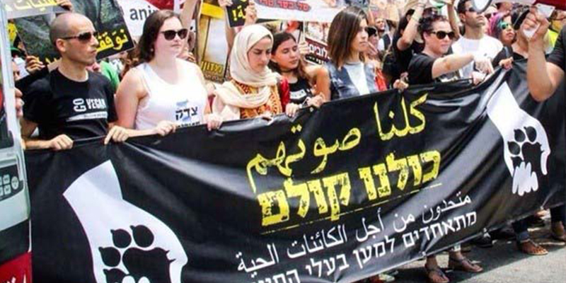 以色列的犹太人与阿拉伯人联合为动物福祉发声